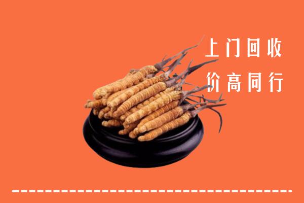 高价求购：合肥市包河区回收散虫草