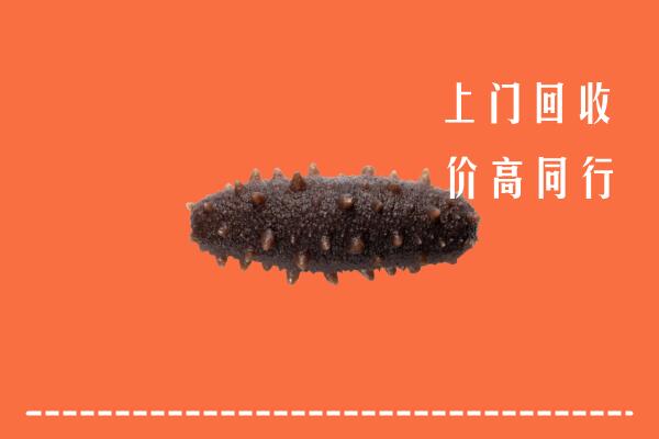 高价求购：合肥市包河区回收海参