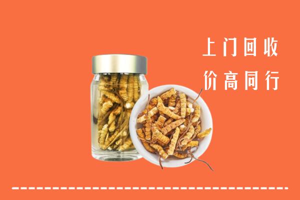 合肥市包河区回收冬虫夏草